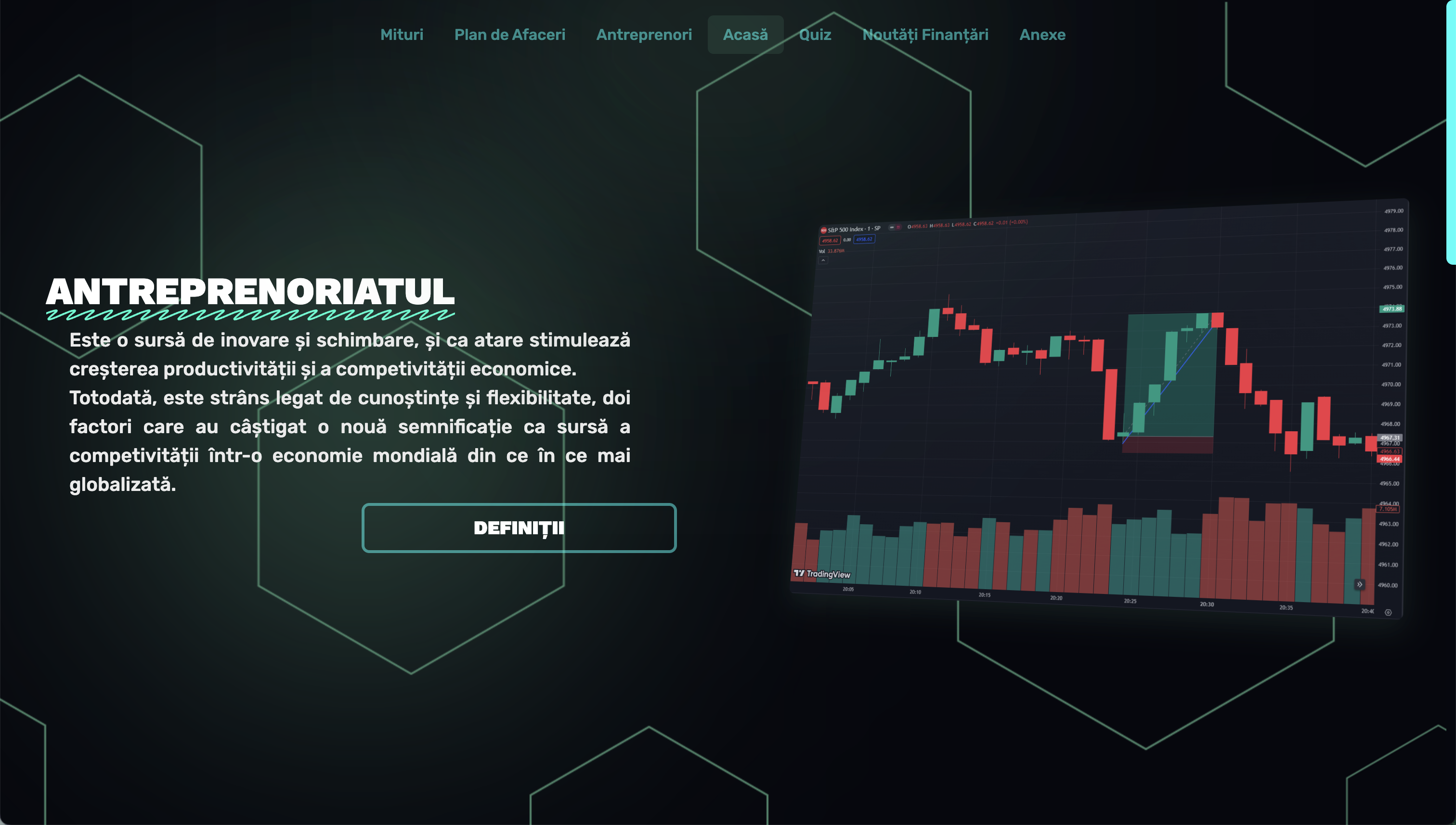Proiect - Antreprenoriatul